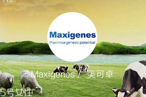 藍(lán)胖子奶粉適合什么人？成人可以喝嗎？