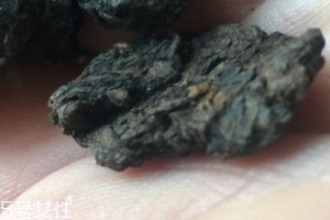 老茶頭怎么泡？泡錯(cuò)了就不好喝了