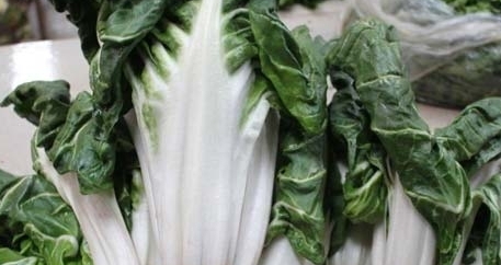 牛皮菜是發(fā)物嗎？牛皮菜有毒嗎