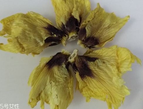 秋葵花怎樣曬干？自然風干最佳
