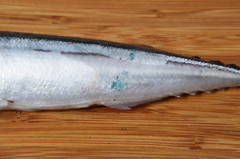 秋刀魚(yú)怎么處理？秋刀魚(yú)怎么挑選