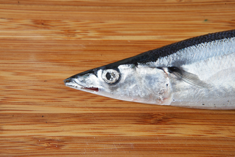 秋刀魚(yú)怎么處理？秋刀魚(yú)怎么挑選