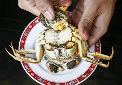 陽(yáng)澄湖大閘蟹怎么吃？食陽(yáng)澄湖大閘蟹注意事項(xiàng)