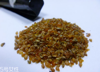 黑苦蕎茶苦嗎？苦蕎有苦卻不苦