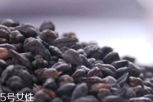 黑苦蕎茶上火嗎？蒸煮法苦蕎茶不上火