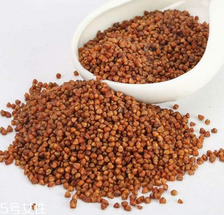 黑苦蕎茶上火嗎？蒸煮法苦蕎茶不上火
