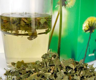 蒲公英茶可以天天喝嗎？不要長期喝
