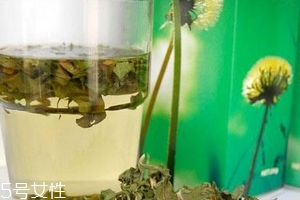蒲公英茶哪些人不宜喝？這三種人要避開
