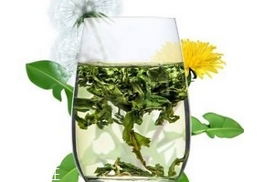 蒲公英茶哪個(gè)牌子好？大牌子值得信賴