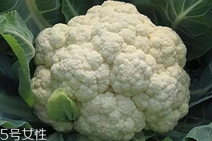 花椰菜可以生吃嗎？熱水殺毒可食用