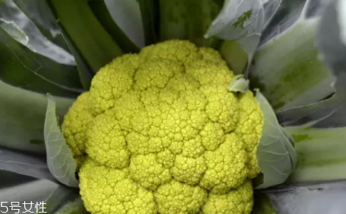花菜在冰箱能放幾天？不要超過(guò)7天