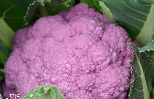 花菜在冰箱能放幾天？不要超過(guò)7天