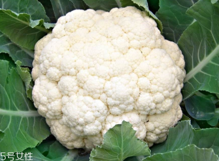 花菜在冰箱能放幾天？不要超過(guò)7天