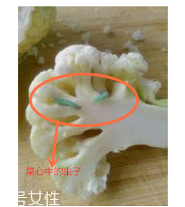 花菜怎么洗才干凈？一定要把蟲子洗掉