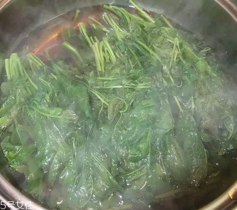 香椿涼拌怎么做好吃？超級簡單的3道開胃菜