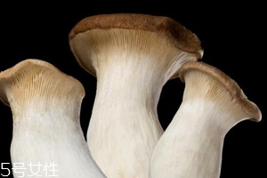 杏鮑菇怎么洗才干凈？鹽水泡泡輕松去污
