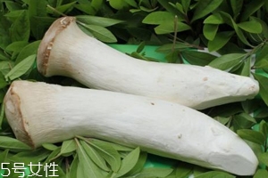 杏鮑菇熟了是什么樣？變軟了就能吃