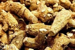 西洋參會過敏嗎？不排除這種可能