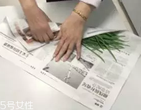 韭菜怎么保存時間長？真空保存最持久