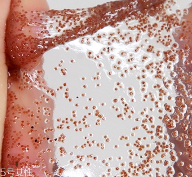 半畝花田海藻面膜怎么樣？