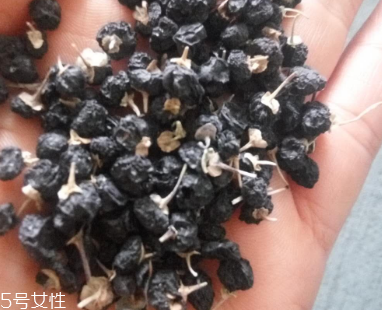 黑枸杞去濕氣嗎？沒有這個功效