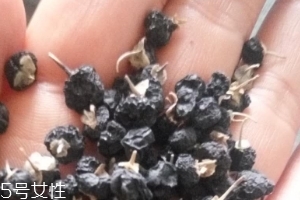 黑枸杞為什么是藍(lán)色？花青素的原因