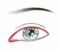 先畫眼影還是先畫眼線？先畫眼影不會(huì)讓眼線暈掉