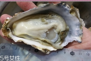 生蠔會(huì)有寄生蟲嗎？不生吃就沒關(guān)系
