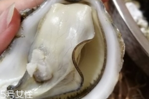 生蠔會(huì)有珍珠嗎？有這個(gè)可能