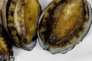 鮑魚罐頭好吃嗎？味道還可以