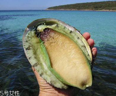 鮑魚罐頭好吃嗎？味道還可以