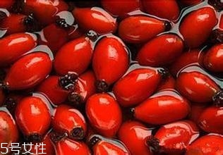 痘痘能用玫瑰果油嗎？愈合之后少量用