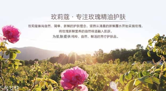 玫莉蔻護膚品怎么樣？主打玫瑰的護膚品牌