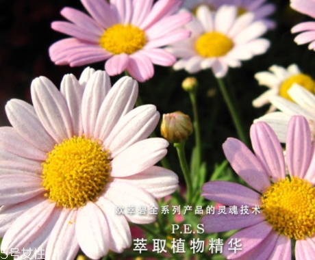 歐萃碧護(hù)膚品怎么樣？法國藥妝品牌