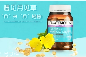 月見草油是激素嗎？不含激素成分