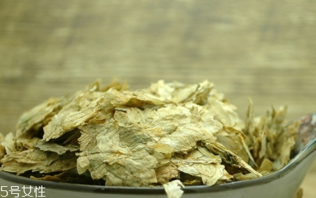 啤酒花是什么？啤酒花功效與作用