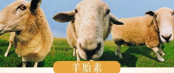 羊胎素和玻尿酸哪個(gè)好？