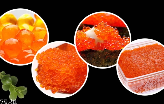 飛魚籽是什么魚的籽？壽司美味的秘訣