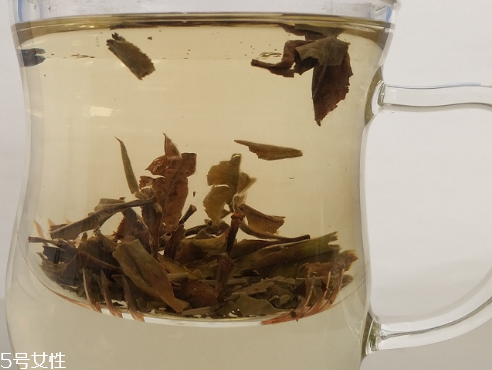 白牡丹茶多少錢一斤？180元左右