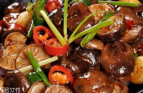 金錢(qián)菇怎么做好吃 食譜大全