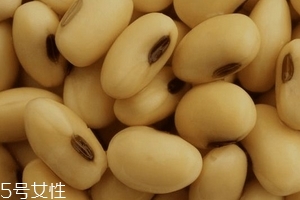 卵磷脂通乳嗎？這個還不一定