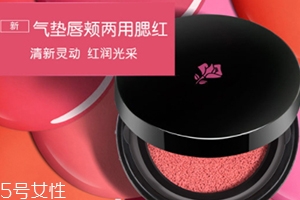 2018氣墊腮紅哪個(gè)牌子好？