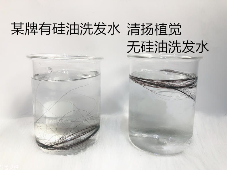 清揚0硅油洗發(fā)水好用嗎？自帶高級感香調