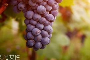 葡萄籽會(huì)影響月經(jīng)嗎？吃法正確就不會(huì)