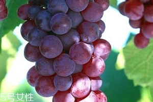 葡萄籽會推遲月經(jīng)嗎？一般不會