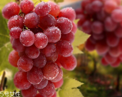 葡萄籽會(huì)長(zhǎng)痘嗎？沒有這個(gè)情況