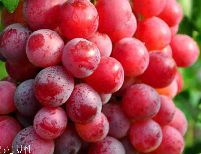 葡萄籽會(huì)發(fā)胖嗎？不會(huì)發(fā)胖