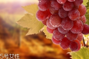 葡萄籽會(huì)便秘嗎？葡萄籽能緩解便秘