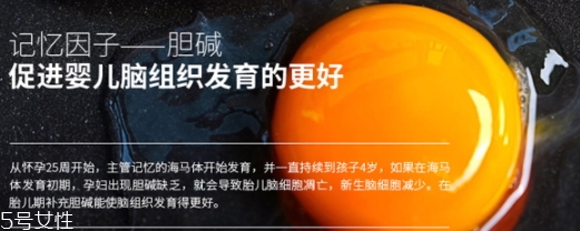 黃金素和dha可以一起吃嗎？