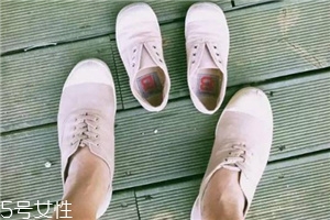 bensimon帆布鞋多少錢？來自法國的小清新